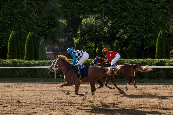 Jockeys Montar Caballo Hipódromo Semental Marrón Carreras — Foto de Stock