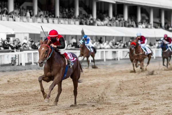 Jockey Ridning Hästkapplöpning Kapplöpningsbanan Första Seger Vinnaren Bryter Framåt Spänd — Stockfoto
