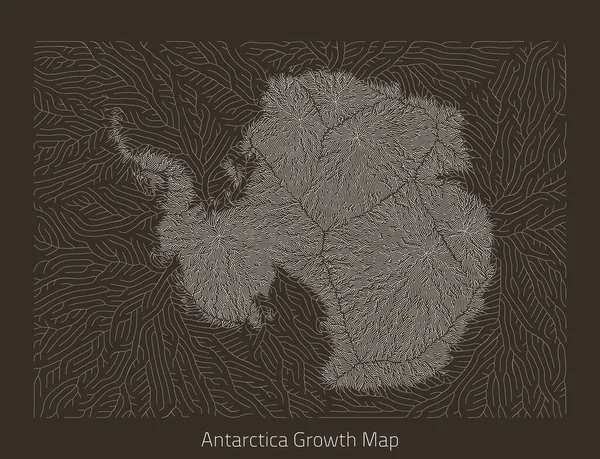 Mapa vetorial da Antártida. Estrutura de crescimento generativo em forma de continente. Textura orgânica com silhueta de pólo sul geográfica . — Vetor de Stock