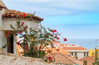 Arka planda çiçekli çatılar ve Atlantik Okyanusu manzarası, Puerto de la Cruz, Tenerife, İspanya