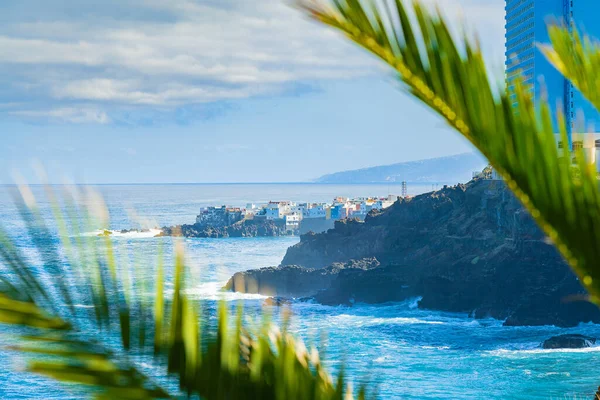 Vista sobre a costa do oceano e edifícios coloridos sobre a rocha em Punta Brava através das folhas de palmeira, Puerto de la Cruz, Tenerife, Ilhas Canárias, Espanha — Fotografia de Stock