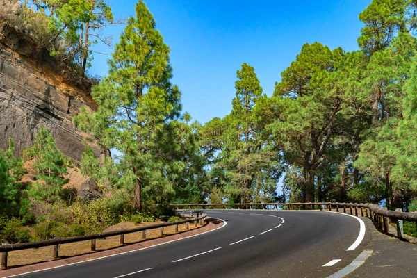 Carretera sinuosa con valla de madera en un bosque de montaña. Bosque verde brillante contra el cielo azul . — Foto de Stock