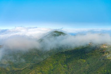 Anaga kırsal parkında alçak bulutlarla kaplı yeşil dağların güzel manzarası. Yukarıdaki parlak mavi gökyüzü. Tenerife, Kanarya Adaları, İspanya