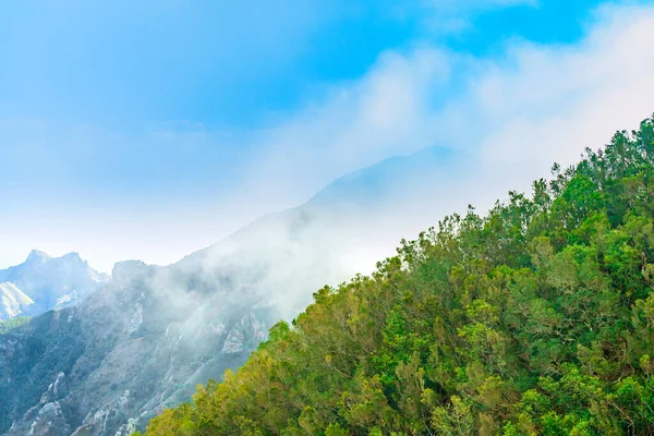 Όμορφη εναέρια πανόραμα των πράσινων βουνών στην Anaga αγροτικό πάρκο, που καλύπτεται με χαμηλά σύννεφα. Φωτεινό μπλε ουρανό από πάνω. Τενερίφη, Κανάριοι Νήσοι, Ισπανία — Φωτογραφία Αρχείου