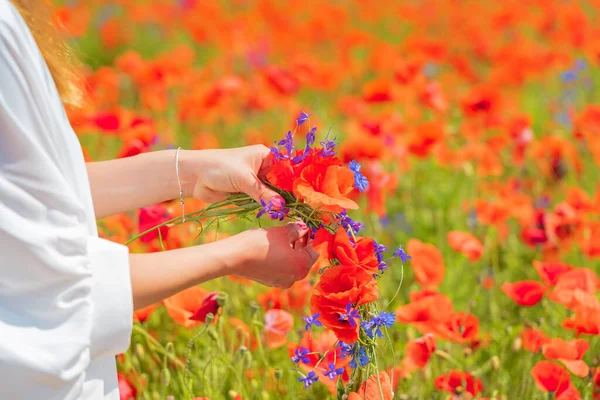 Hands of young beautiful woman weave a wreath of poppy flowers in the field in summer. — Stock Photo, Image