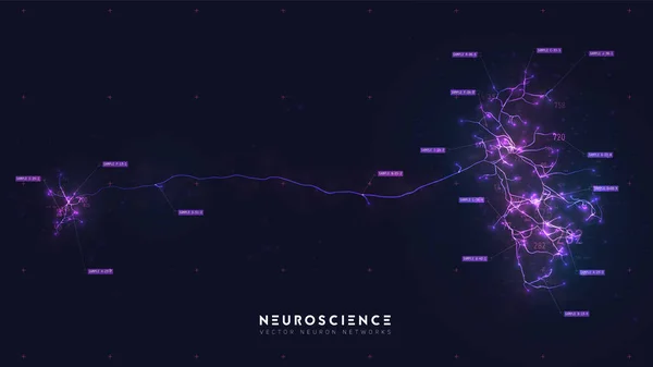 Neuron systeem model. Neurale netstructuur. Onderzoek van het menselijk zenuwnetwerk. Digitaal kunstmatig organisme. Analyse van menselijke hersencellen. Neuronen in kaart brengen voor computerkoppeling — Stockvector