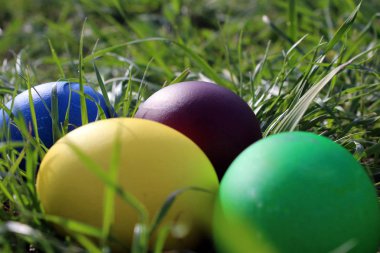  Güneşin altında yeşil çimlerde paskalya yumurtaları