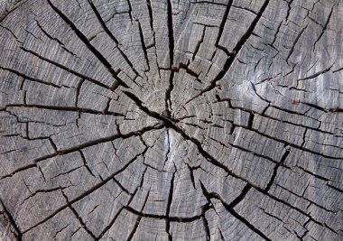 ahşap kırık eski dilim