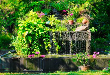 Bu eşsiz görüntü Bangkok dünyaca ünlü Lumphini Park güzel bir şelale ve nilüfer gösterir