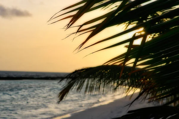 Αυτή Μοναδική Εικόνα Δείχνει Ηλιοβασίλεμα Στις Μαλδίβες Ήλιος Εξαφανίζεται Πίσω — Φωτογραφία Αρχείου