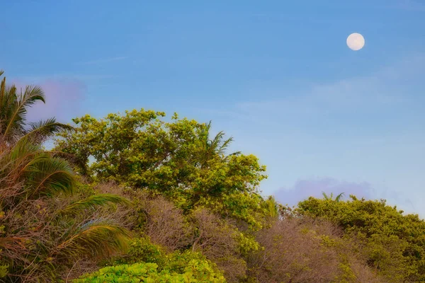 Esta Imagem Única Mostra Uma Lua Cheia Brilhando Brilhantemente Entardecer — Fotografia de Stock