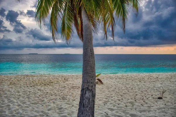 Esta Foto Única Mostra Mostrando Praia Coqueiros Belo Pôr Sol — Fotografia de Stock