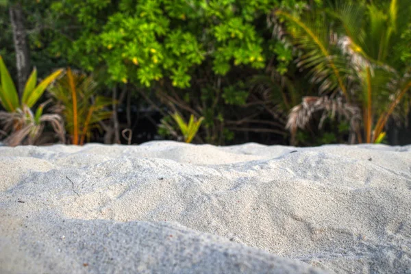 Унікальне Фото Показує Незайманою Природою Острова Мальдівах Слідами Крабів Пісок — стокове фото