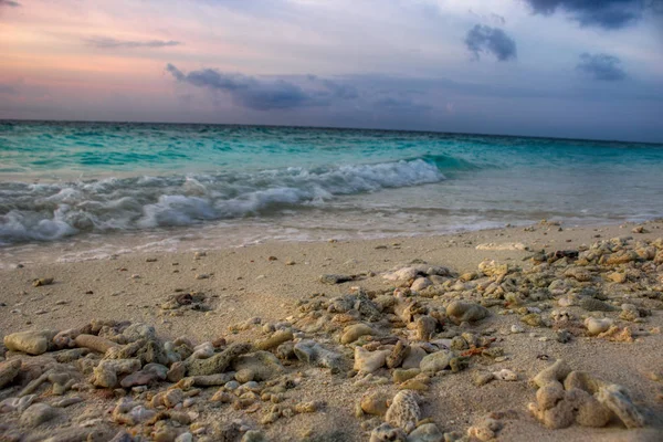 Questa Foto Unica Mostra Piccolo Granchio Eremita Nella Sabbia Isola — Foto Stock