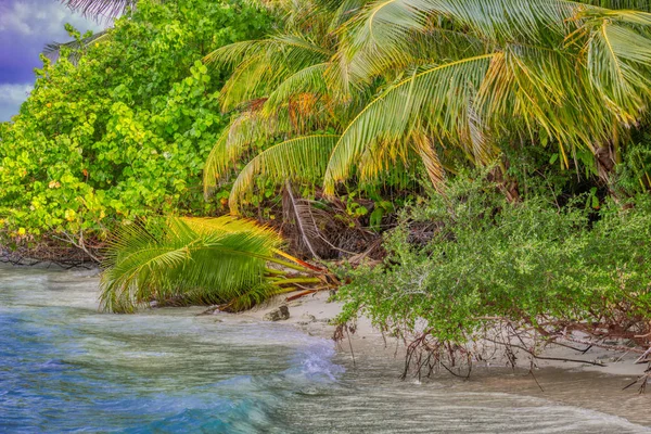 Unique Image Natural Beach Island Maldives Last Paradise Earth — Stock Photo, Image