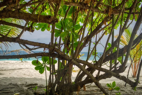 Deze Unieke Foto Toont Natuurlijke Eiland Textuur Met Adembenemende Natuur — Stockfoto