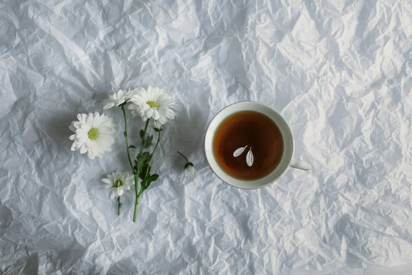 Krisan bacardi dan secangkir teh. — Stok Foto
