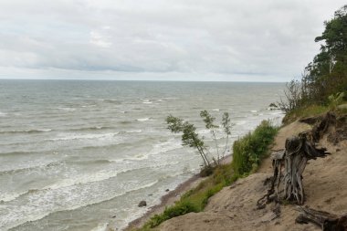 Baltık Denizi kıyısında