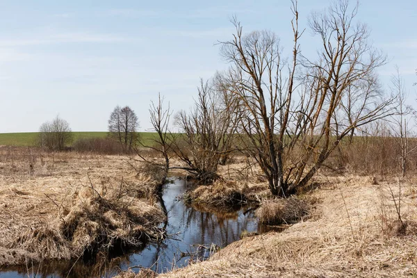 Près de la rivière — Photo