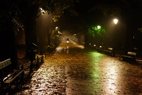 postcard autumn rain in Krakow