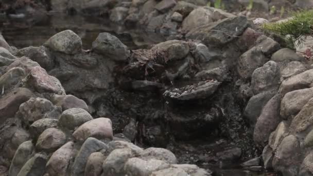 Wasser Fließt Über Die Steine Eines Künstlichen Baches — Stockvideo