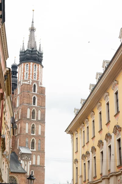 Church tower of the Assumption of the Blessed Virgin Mary — Stock Photo, Image