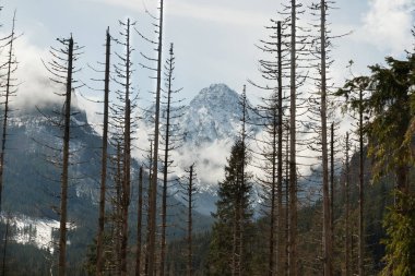 Tatra Dağları'ndaki dağlar