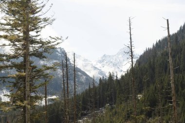 Tatra Dağları'ndaki dağlar