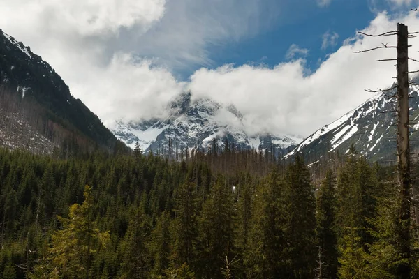 Montanhas nas Montanhas Tatra — Fotografia de Stock