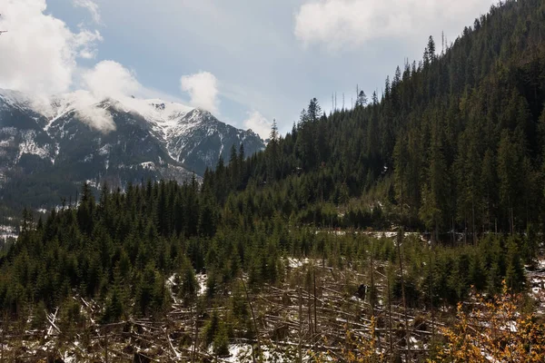 Berge in der Tatra — Stockfoto