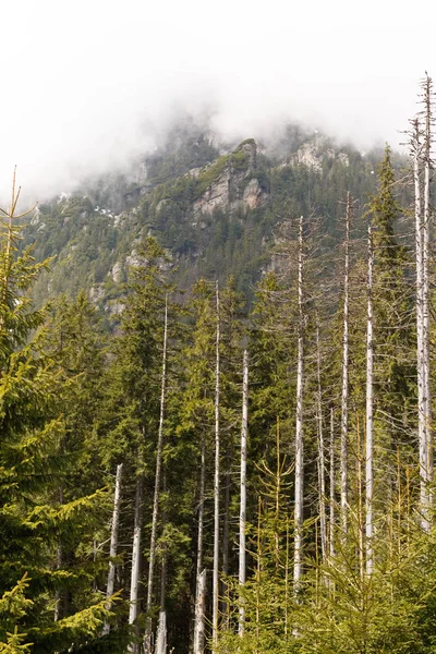 Montagne nei Monti Tatra — Foto Stock