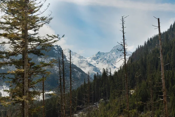 Tatra Dağları'ndaki dağlar — Stok fotoğraf