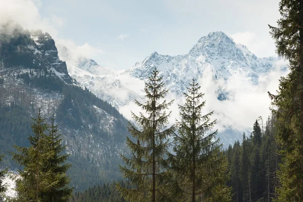 Tatra Dağları'ndaki dağlar — Stok fotoğraf