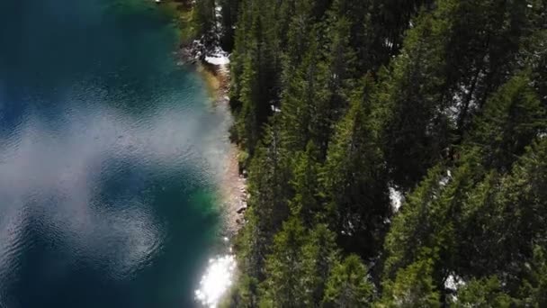 Vista Lago Morskie Oko Floresta Cima — Vídeo de Stock