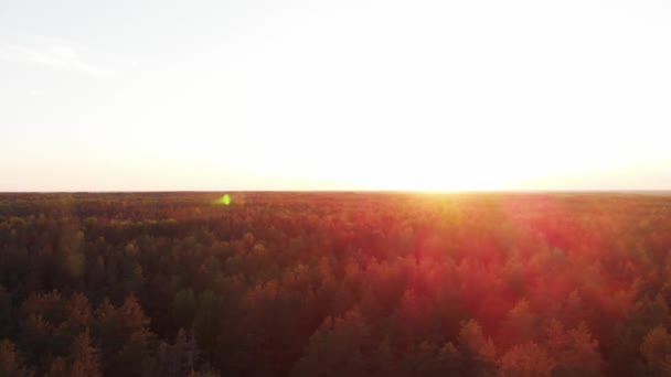 河上的公路桥 秋天的日落 — 图库视频影像