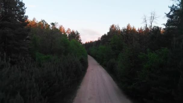 在晚上俯瞰森林和道路的树木 — 图库视频影像