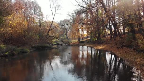 Blick Auf Den Fluss Herbst Fliegen Über Den Fluss Die — Stockvideo