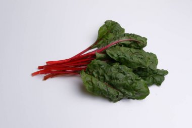 Pancar izole yaprakları