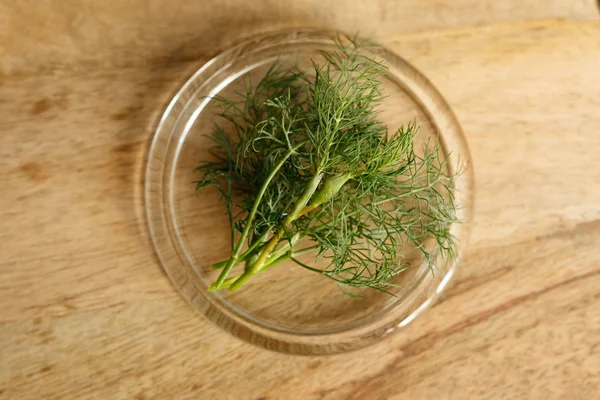 Dill on a glass plate — Stock Photo, Image