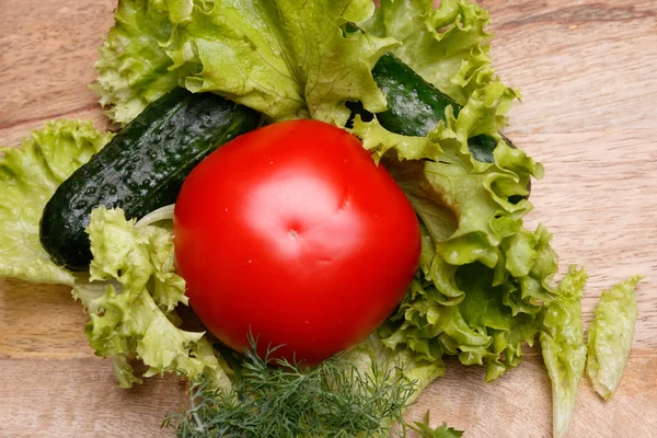 Paradicsom, uborka, fejes saláta és kapor — Stock Fotó