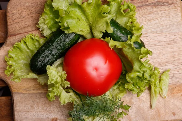 Tomat, agurk, salat og dild - Stock-foto