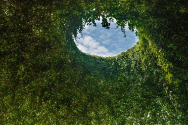 Varşova Üniversitesi Kütüphanesi'nin çatı kubbesi