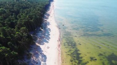 Deniz kıyısından uç. Aero çekim