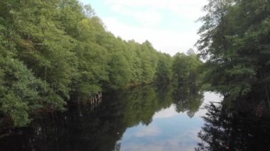 Orman ve nehir üzerinde uçuş. Üst te. Aero çekim