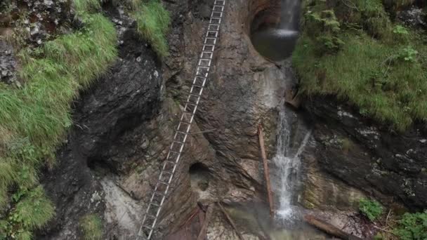 Waterfall National Park Top View Aero Shooting — Stock Video