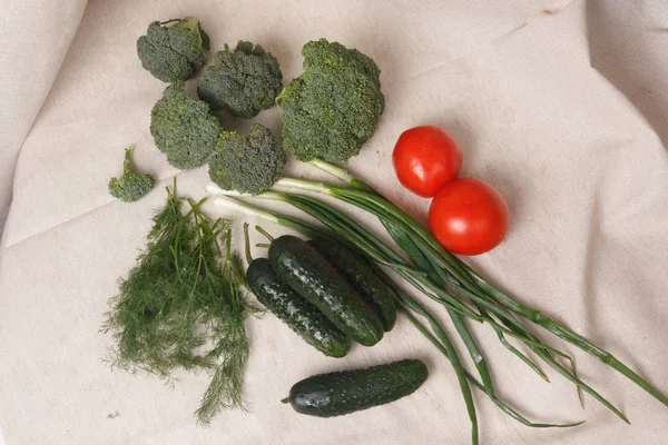 Bawang hijau, mentimun, tomat, brokoli dan dill pada kain — Stok Foto