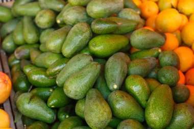 Avokadolarla bir sıra, yanlarda portakallar var.
