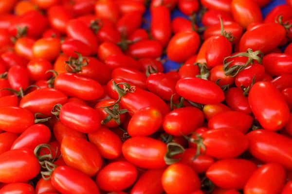 Banyak sekali tomat merah kecil. Lihat dari atas — Stok Foto