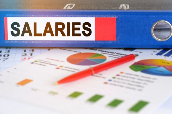 Masanın Üzerinde Turta Grafikleri Bir Kalem Üzerinde Salaries Yazan Bir — Stok fotoğraf