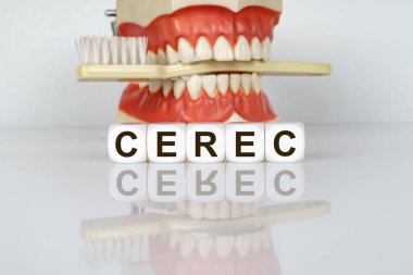 Tıbbi, dişçi konsepti. Metin küplerin üzerinde yazılı, CEREC. Arka planda diş fırçalı bir çene modeli var. Diş hastalıklarının önlenmesi.